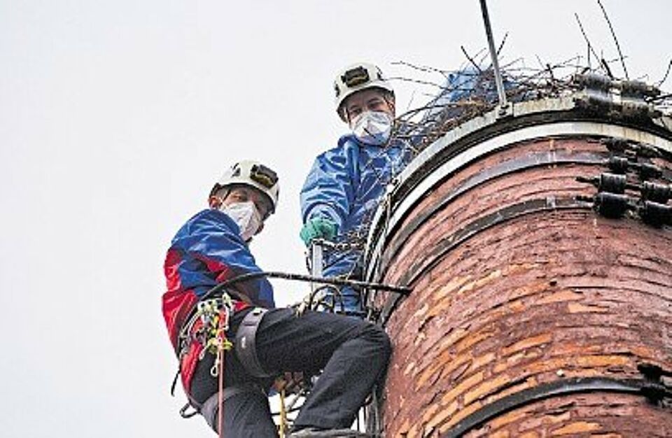 Kletterer der Bergwacht bargen den toten Jungstorch vom Kamin der alten Heidenheimer Malzfabrik.